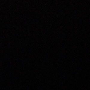 Meet your Posher, Jackson